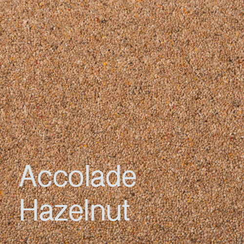 Accolade Hazelnut Accolade Hazelnut